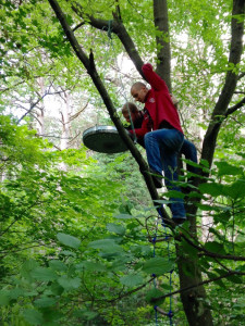 Spiegeleikochen auf einem Baum